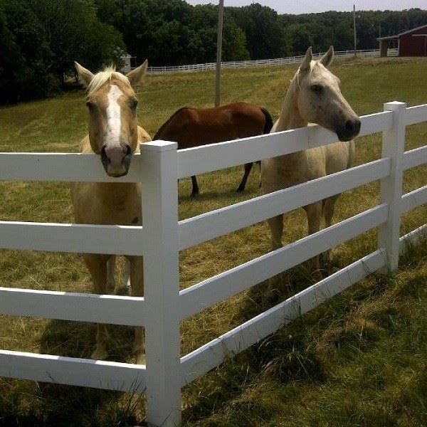 7 4 Rail Split Rail Fence 7 4 Rail Split Rail Fence