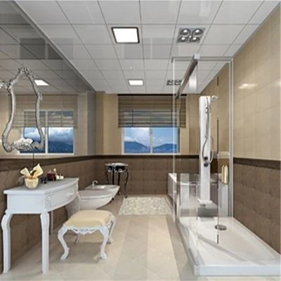 Ceiling PVC Boards